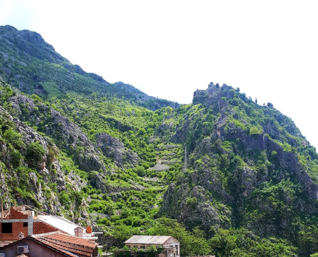 Red House Apartment Kotor Luaran gambar